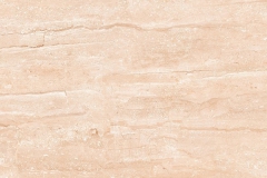 B60M0173-95