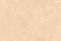 B60M0244-95