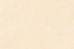 B60M0483-95
