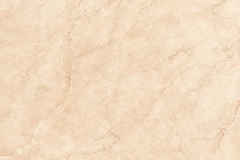 B60M0494-95